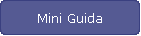 Mini Guida